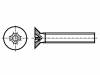 8G207M5X15 Винт; M5x15; Головка: потайная; Phillips; полиамид; Норма ISO:7046