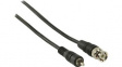 CVGP24800BK30 BNC Video Cable BNC Plug - RCA Plug 3m