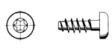 7981 TP 25103 Self-tapping Screw ST 10 mm