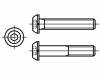 M3X16/BN19 ISO7380 Винт; M3x16; Головка: сферическая; Шлиц: внутренний шестигранник