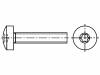 5401278 Винт; M5x16; Головка: цилиндрическая; Шлиц: Torx; сталь; цинк; TX25