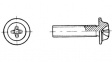 482502506 Screw, integrated washer head, Phillips M2.5 6 mm