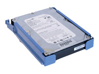 DELL-1000SATA/7-F13, Harddisk 3.5" SATA 1.5 Gb/s 1000 GB 7200RPM, -