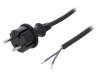 W-97235, Кабель; вилка CEE 7/17 (C),провода; 4,5м; черный; ПВХ; 2x1мм2; 16А, PLASTROL