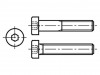 1568736 Винт; M3x8; DIN: 7984; Головка: цилиндрическая; шестигранный