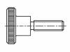 1479148 Винт; M5x30; Головка: накатанная, цилиндрическая; Шлиц: нет; сталь