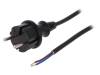 W-98348, Кабель; вилка CEE 7/17 (C),провода; 2м; черный; ПВХ; 2x1мм2; 16А, PLASTROL