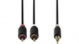 CABP22200AT20 Stereo Audio Cable 3.5 mm Jack Plug - 2x RCA Plug 2m