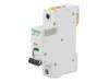 A9F04106, Выключатель максимального тока; 230ВAC; Iном:6А; Монтаж: DIN, SCHNEIDER ELECTRIC
