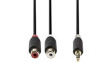 CABP22250AT02 Stereo Audio Cable 3.5 mm Jack Plug - 2x RCA Socket 200mm