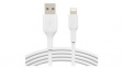 CAA001BT3MWH Cable Apple Lightning - USB-A Plug 3m White