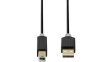 CCBP60100AT30 USB 2.0 Cable USB A Plug - USB B Plug 3m Anthracite