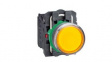 XB5AW35M5 Illuminated Pushbutton, LED, Orange, 1NO + 1NC 240 V, Momentary Function