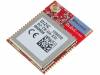 DZ-ZB-GA-XM, Модуль: ZigBee; 2,4ГГц; GPIO, I2C, USART; -105дБм; 20дБм, DIZIC LTD.