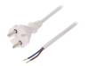 W-98343, Кабель; вилка CEE 7/17 (C),провода; 5м; белый; ПВХ; 2x1мм2; 16А, PLASTROL