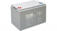 12 FGL100 Lead-Acid Battery, 12 V 100 Ah
