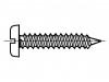 1372890 Винт; 6,3x19; Головка: цилиндрическая; прямой; сталь; цинк; BN: 941