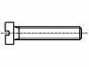 1163507 Винт; M1,2x5; Головка: цилиндрическая; Шлиц: прямой; сталь; DIN:84