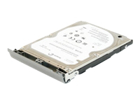 DELL-500S/5-NB31, Harddisk SATA 1.5 Gb/s 500 GB 5400RPM, -