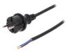 W-98362, Кабель; вилка CEE 7/17 (C),провода; 2м; черный; ПВХ; 2x1,5мм2; 16А, PLASTROL