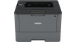 HLL5000DC1 Laser printer, 1200 x 1200 dpi