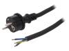 W-97537, Кабель; SCHUKO вилка,вилка CEE 7/7 (E/F),провода; 10м; черный, PLASTROL