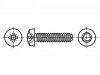1473654 Винт; для металла; 2,5x12; Головка: цилиндрическая; Pozidriv; цинк