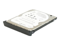 DELL-320S/5-NB49, Harddisk 2.5" SATA 3 Gb/s 320 GB 5400RPM, -
