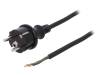 W-97268, Кабель; SCHUKO вилка,вилка CEE 7/7 (E/F),провода; 4,5м; черный, PLASTROL