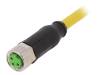7000-08041-0100300, Соединительный кабель; M8; PIN:3; прямой; 3м; вилка; 50ВAC; 4А; IP67, MURRELEKTRONIK