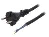 W-97194, Кабель; вилка CEE 7/17 (C),провода; 4м; черный; резина; 2x1,5мм2, PLASTROL