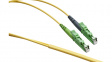 LKD9A1309040000 Fibre optic cable 9/125um OS2 E2000/E2000 5 m Yellow