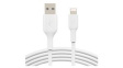 CAA001BT0MWH Cable Apple Lightning - USB-A Plug 150mm White