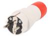 W-98000, Разъем: питания AC; вилка; Конфиг.выводов:2P+PE; красный, серый, PLASTROL