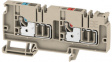 1988260000 AAP13 6 LO-LO terminal block push-in, 0.5...6 mm2 250 v 41 a beige/red/blue