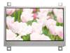 RFE43BQ-EIW-DBN, Дисплей: TFT; 4,3"; 480x272; Подсвет: LED; Разм:106,7x83,98x7,1мм, RAYSTAR OPTRONICS