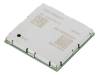 WP7607(G), Модуль: GSM; ADC,GPIO,I2C,UART x2,USB; 22x23x2,5мм; -40?85°C, Sierra Wireless