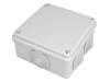 S-BOX 106 Корпус: соединительная коробка; Х:100мм; Y:100мм; Z:50мм; IP65