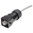 RJF EZ 6 Cable connector without RJ45 cable 8P