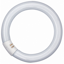 L 22W/840 C, Fluorescent lamp 230 VAC 22 W G10q, Osram