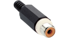 XKTO 1 weiss, RCA Socket black white, Lumberg Connect