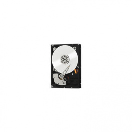 WD2503ABYZ, HDD WD RE 250 GB, 3.5'', SATA 6 Gb/s 64 MB, Western Digital