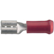 160314-2 Blade receptacle Tinned Brass Yellow 6.3 x 0.8 mm