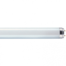 L 36W/840 SPS VE =12 [12 шт], Fluorescent lamp 230 VAC 36 W G13, Osram