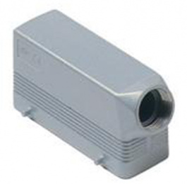 CAOT 24.6, hoods for two levers, with 4 pegs, side entry, high construction, 1'' NPT, ILME