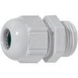 SKINTOP ST PG 11 RAL 7035 LGY Cable gland PG11