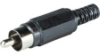 RND 205-00570 Male RCA Connector, Black