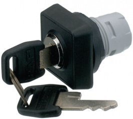 1.30.076.051/0000, Key switch 25 x 25 mm, RAFI