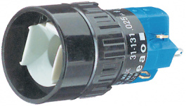 31-131.0252, Illuminated push button diam. 18 mm, EAO