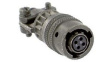 MS3116F14-19S Straight Plug MIL-C-26482/KPT